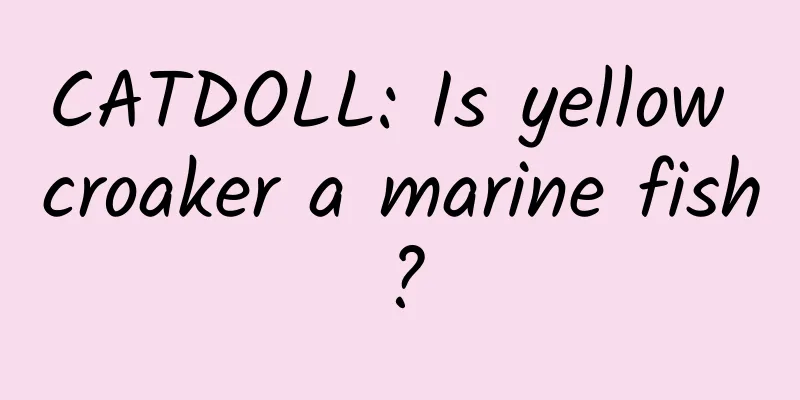CATDOLL: Is yellow croaker a marine fish?