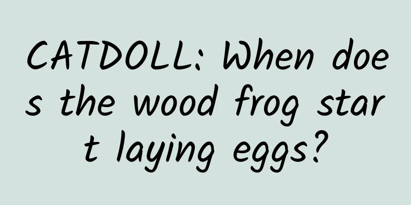 CATDOLL: When does the wood frog start laying eggs?
