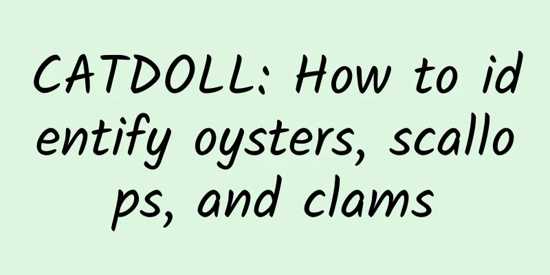 CATDOLL: How to identify oysters, scallops, and clams
