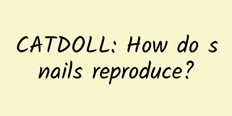 CATDOLL: How do snails reproduce?
