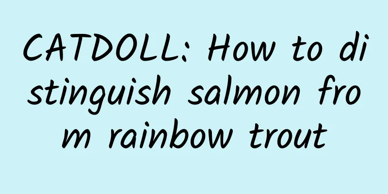 CATDOLL: How to distinguish salmon from rainbow trout