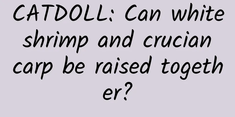 CATDOLL: Can white shrimp and crucian carp be raised together?