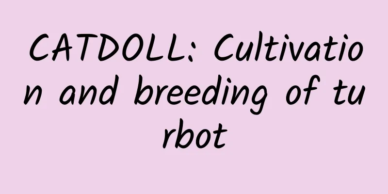 CATDOLL: Cultivation and breeding of turbot