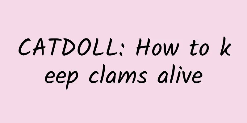 CATDOLL: How to keep clams alive