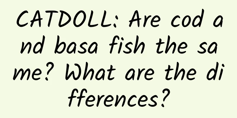 CATDOLL: Are cod and basa fish the same? What are the differences?
