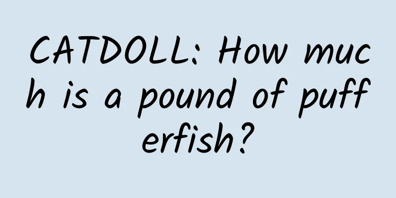 CATDOLL: How much is a pound of pufferfish?