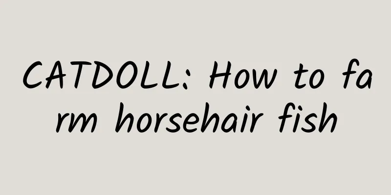 CATDOLL: How to farm horsehair fish