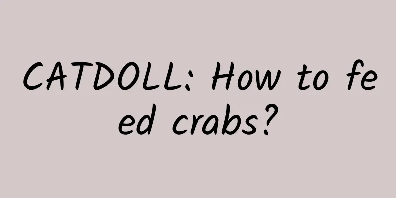 CATDOLL: How to feed crabs?