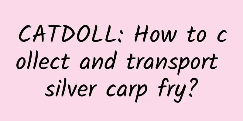 CATDOLL: How to collect and transport silver carp fry?