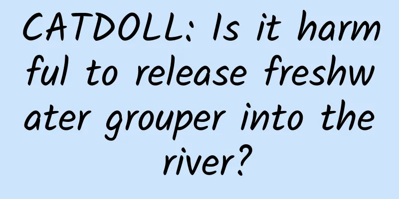 CATDOLL: Is it harmful to release freshwater grouper into the river?