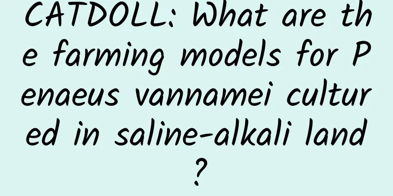 CATDOLL: What are the farming models for Penaeus vannamei cultured in saline-alkali land?