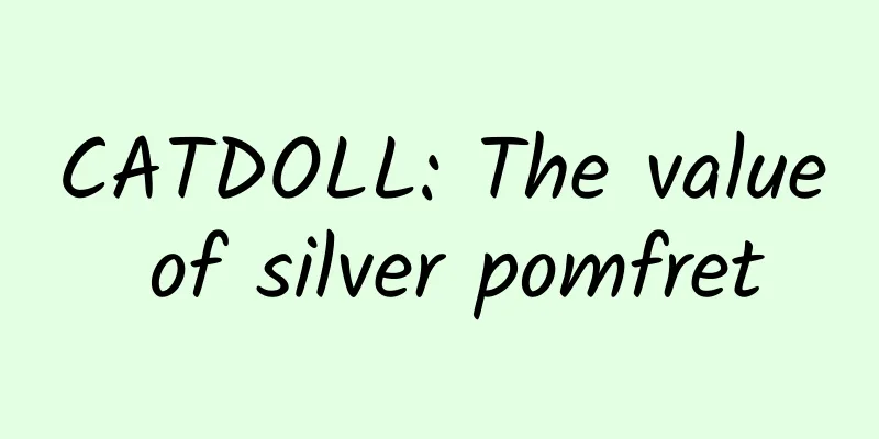 CATDOLL: The value of silver pomfret