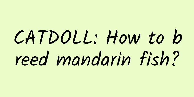 CATDOLL: How to breed mandarin fish?