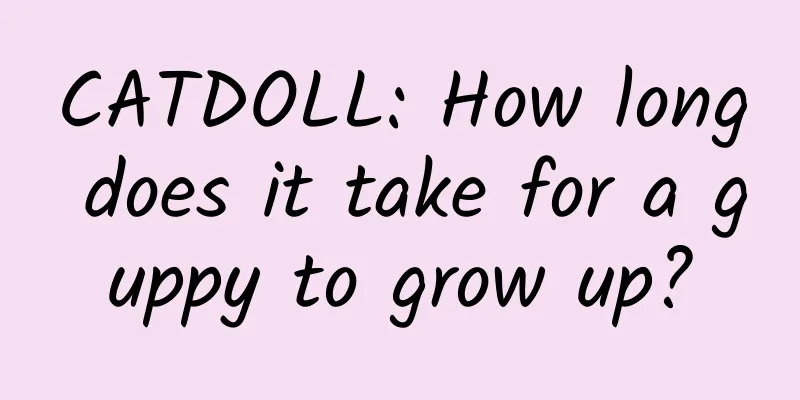 CATDOLL: How long does it take for a guppy to grow up?