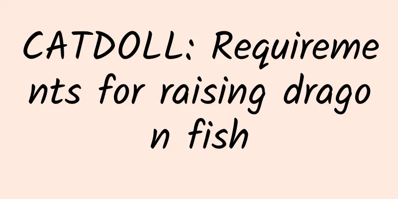 CATDOLL: Requirements for raising dragon fish
