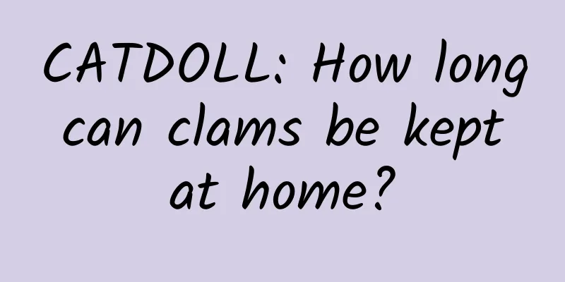 CATDOLL: How long can clams be kept at home?