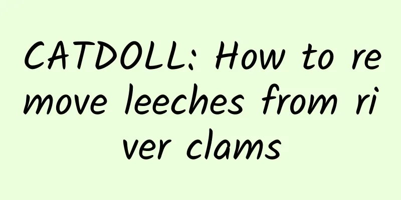 CATDOLL: How to remove leeches from river clams