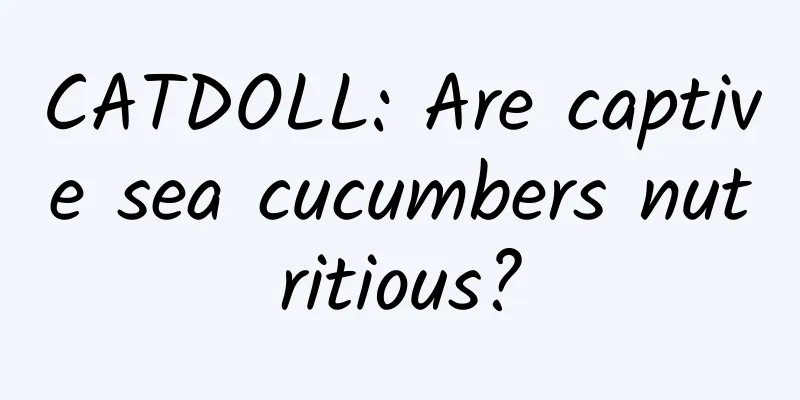 CATDOLL: Are captive sea cucumbers nutritious?