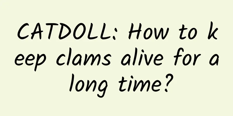 CATDOLL: How to keep clams alive for a long time?