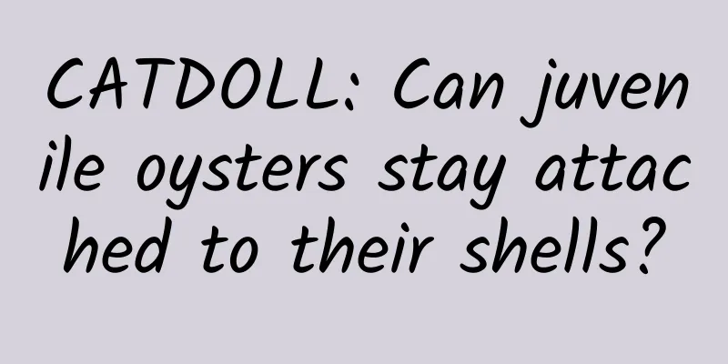 CATDOLL: Can juvenile oysters stay attached to their shells?