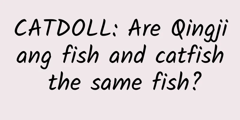 CATDOLL: Are Qingjiang fish and catfish the same fish?