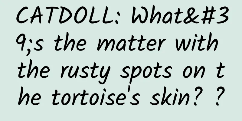 CATDOLL: What's the matter with the rusty spots on the tortoise's skin? ?