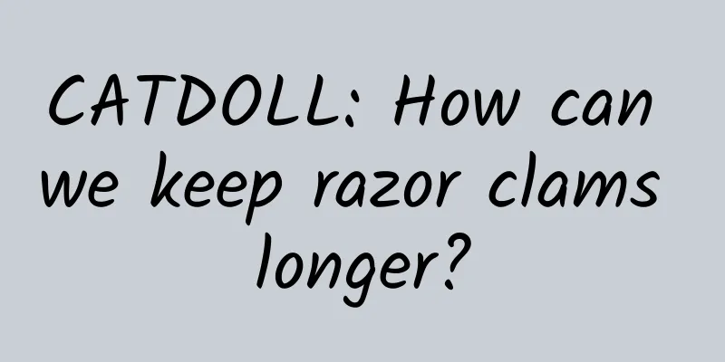 CATDOLL: How can we keep razor clams longer?