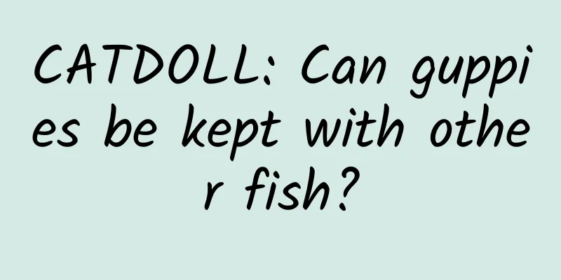 CATDOLL: Can guppies be kept with other fish?