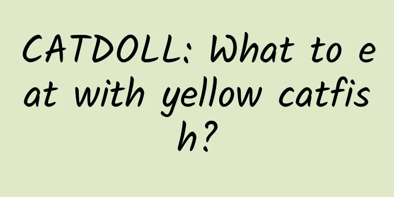 CATDOLL: What to eat with yellow catfish?