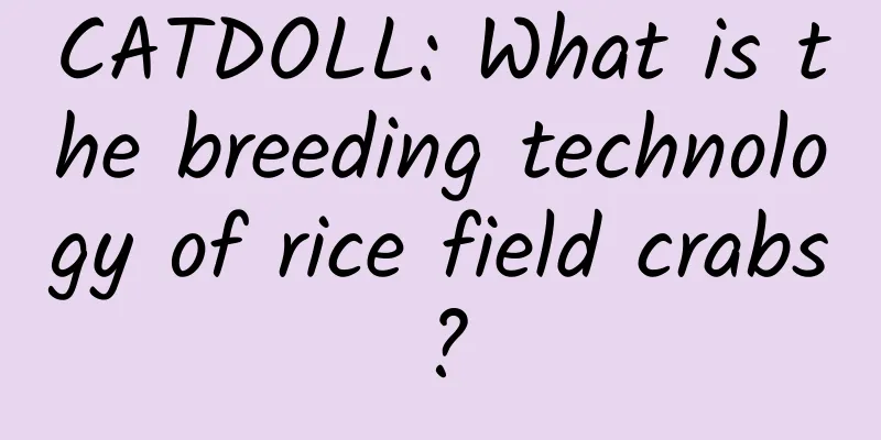 CATDOLL: What is the breeding technology of rice field crabs?