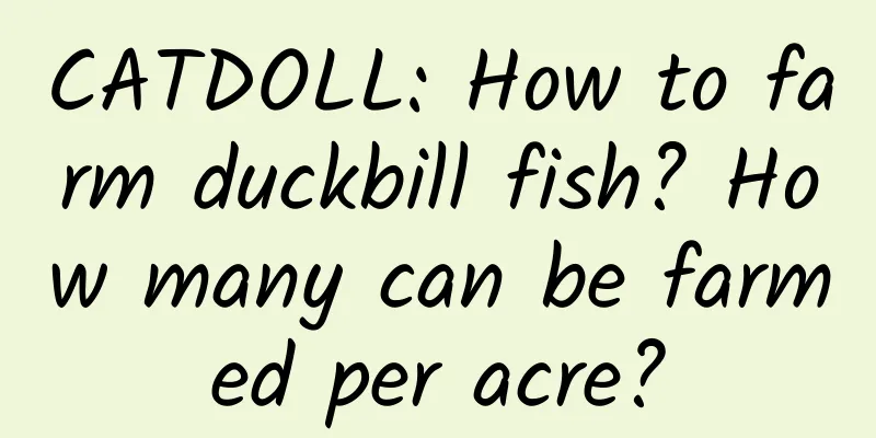 CATDOLL: How to farm duckbill fish? How many can be farmed per acre?