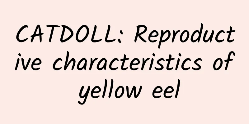 CATDOLL: Reproductive characteristics of yellow eel