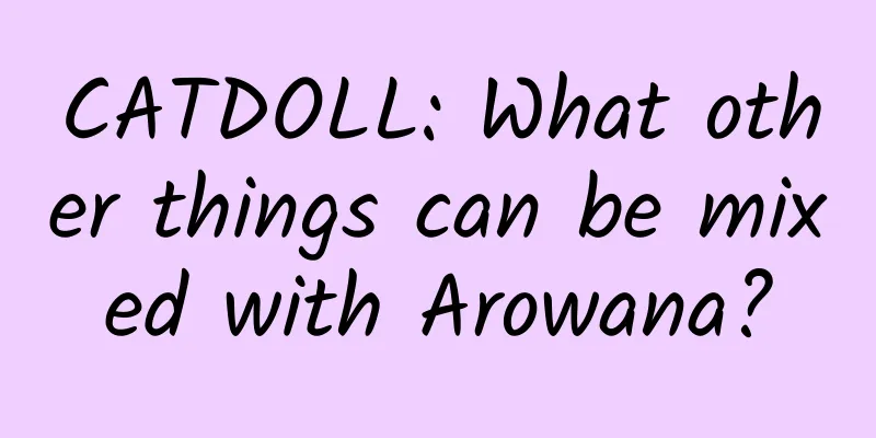 CATDOLL: What other things can be mixed with Arowana?