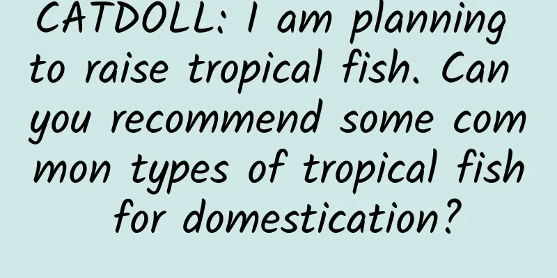 CATDOLL: I am planning to raise tropical fish. Can you recommend some common types of tropical fish for domestication?
