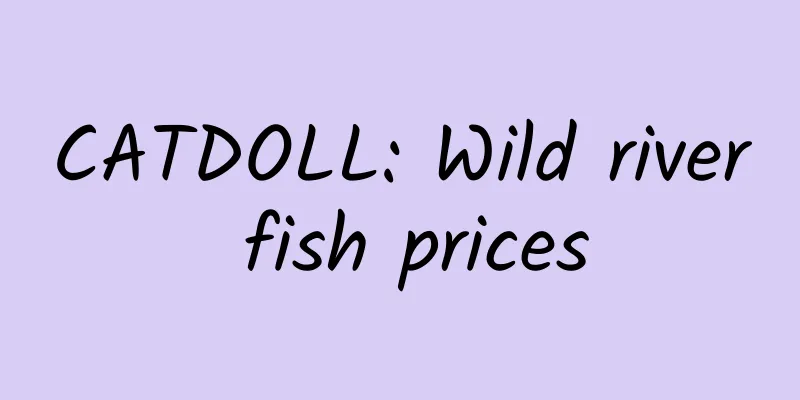 CATDOLL: Wild river fish prices