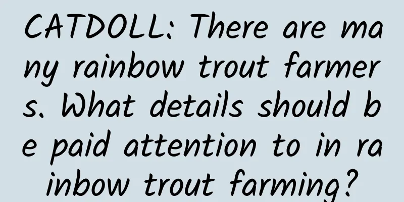 CATDOLL: There are many rainbow trout farmers. What details should be paid attention to in rainbow trout farming?