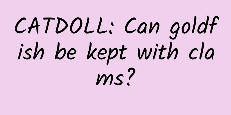 CATDOLL: Can goldfish be kept with clams?