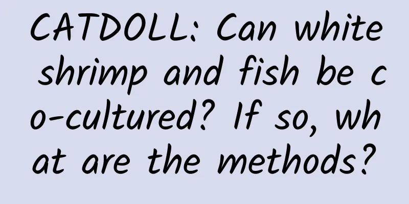 CATDOLL: Can white shrimp and fish be co-cultured? If so, what are the methods?