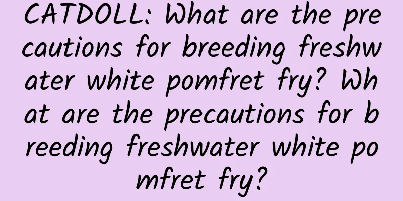 CATDOLL: What are the precautions for breeding freshwater white pomfret fry? What are the precautions for breeding freshwater white pomfret fry?