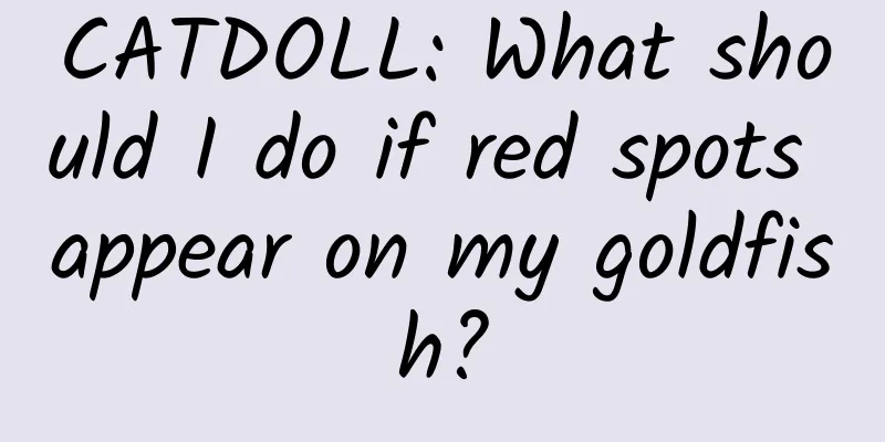 CATDOLL: What should I do if red spots appear on my goldfish?