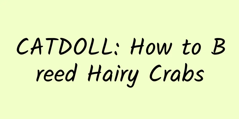 CATDOLL: How to Breed Hairy Crabs