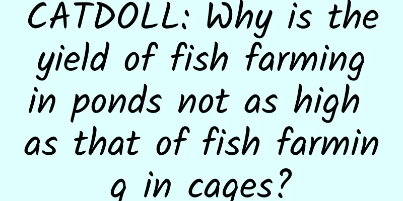 CATDOLL: Why is the yield of fish farming in ponds not as high as that of fish farming in cages?