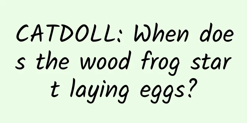 CATDOLL: When does the wood frog start laying eggs?