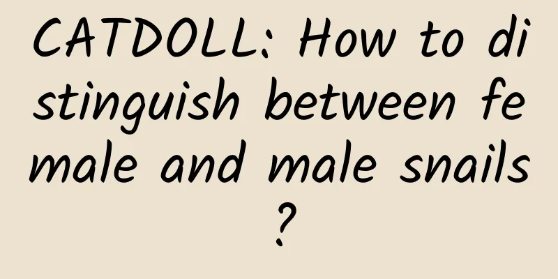 CATDOLL: How to distinguish between female and male snails?