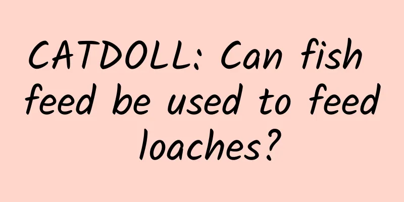 CATDOLL: Can fish feed be used to feed loaches?
