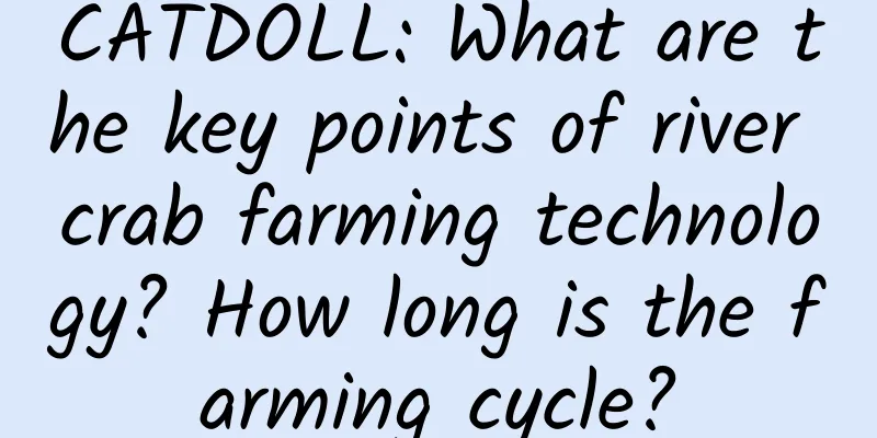 CATDOLL: What are the key points of river crab farming technology? How long is the farming cycle?