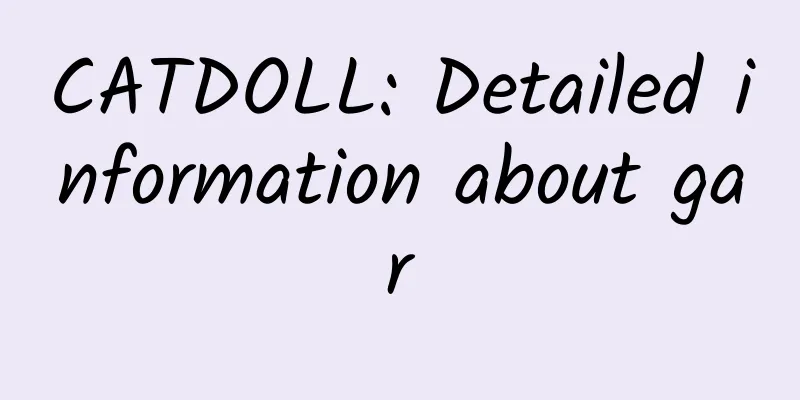 CATDOLL: Detailed information about gar