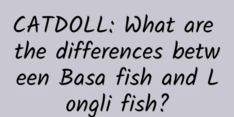 CATDOLL: What are the differences between Basa fish and Longli fish?
