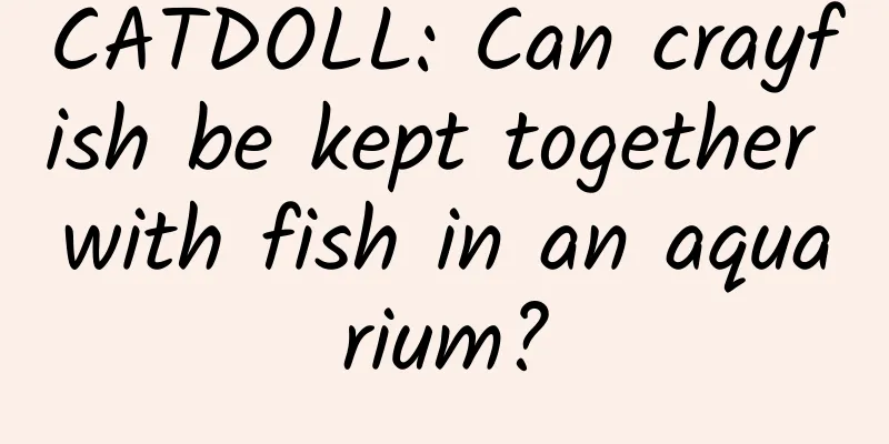CATDOLL: Can crayfish be kept together with fish in an aquarium?