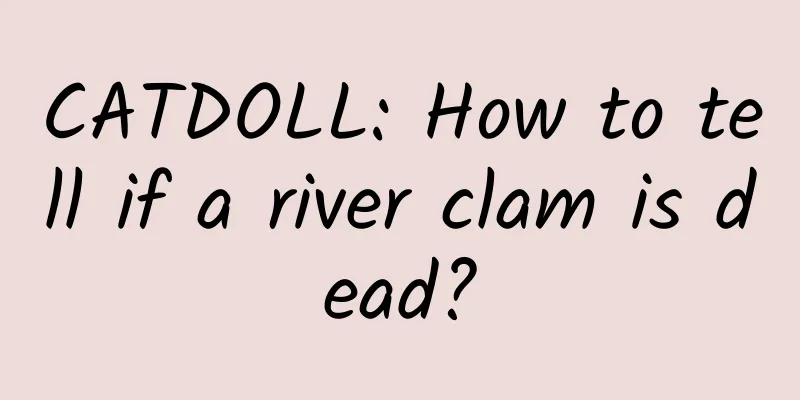 CATDOLL: How to tell if a river clam is dead?
